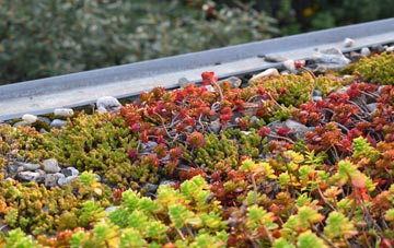the cost of Putnoe green roof installation