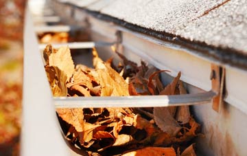 Putnoe gutter cleaning companies