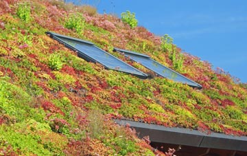 Putnoe living roof systems