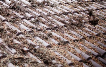 Putnoe roof cleaning companies