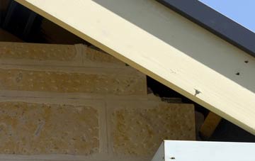soffit repair Putnoe