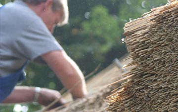 professional Putnoe thatchers