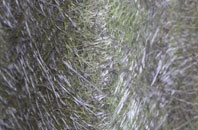 Putnoe fibreglass roof work